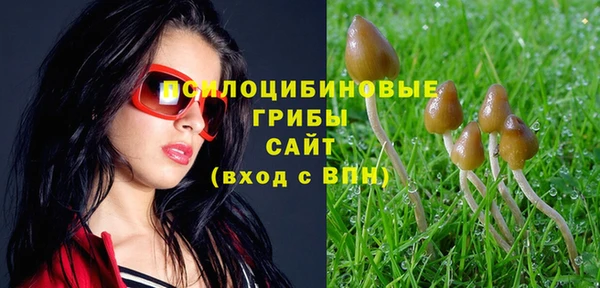 прущий лед Наволоки