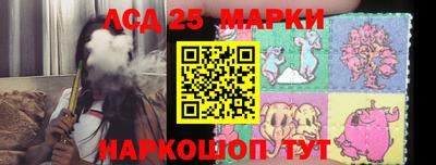 индика Заволжье