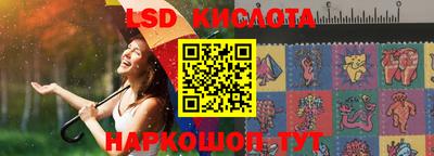индика Заволжье