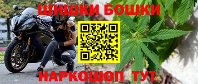 индика Заволжье