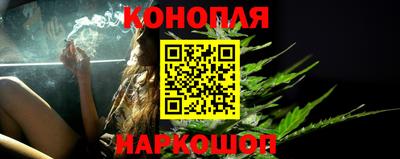 сатива Аргун