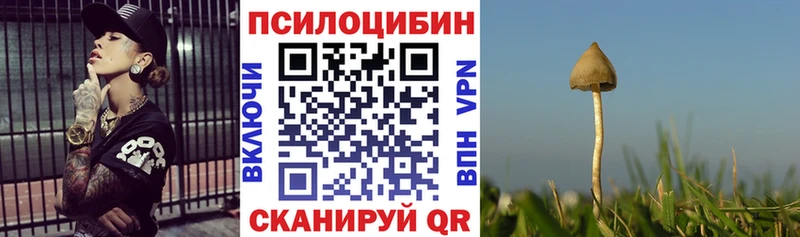 сколько стоит Севастополь Псилоцибиновые грибы Psilocybine cubensis