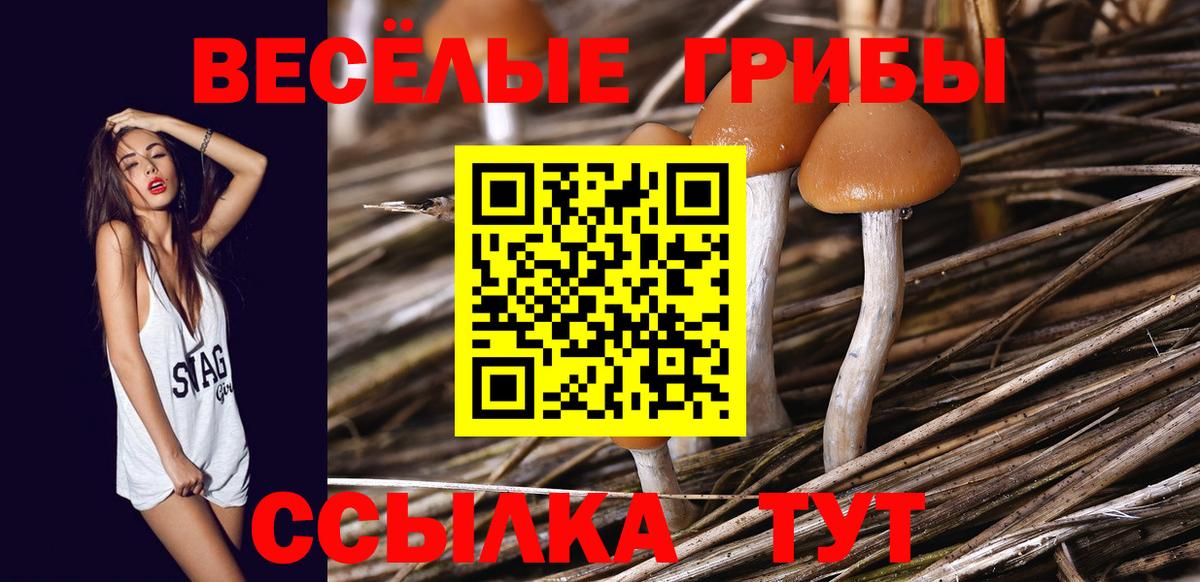 Галлюциногенные грибы Psilocybine cubensis  Севастополь 