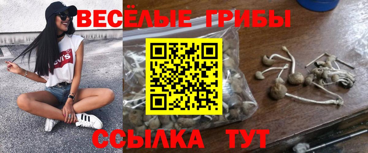 Галлюциногенные грибы мицелий Севастополь