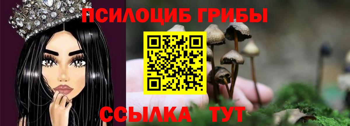 Севастополь  Псилоцибиновые грибы Cubensis  Вход с VPN  Псилоцибиновые грибы прущие грибы 