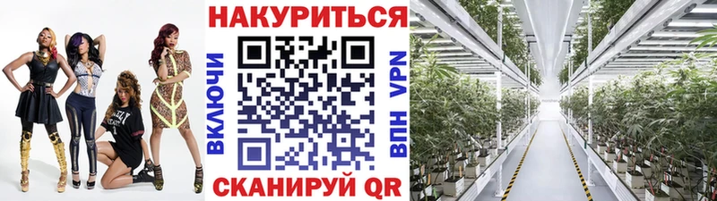 hydra как войти  Севастополь  Марихуана конопля 
